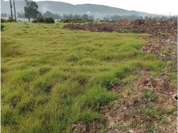 VENDO LOTE COMERCIAL. AREA 52.000 m2. COGUA VA UBATÈ