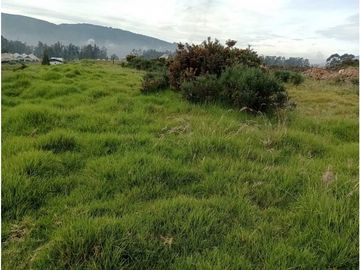 VENDO LOTE COMERCIAL. AREA 52.000 m2. COGUA VA UBATÈ