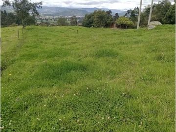 VENDO HERMOSO LOTE 3 FANEGADAS Y MEDIA PLANAS COGUA RODAMONTAL