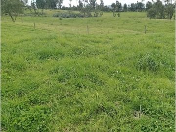 VENDO HERMOSO LOTE 3 FANEGADAS Y MEDIA PLANAS COGUA RODAMONTAL