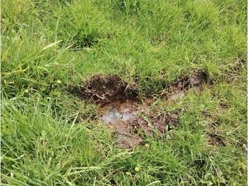 VENDO HERMOSO LOTE 3 FANEGADAS Y MEDIA PLANAS COGUA RODAMONTAL