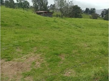 VENDO HERMOSO LOTE 3 FANEGADAS Y MEDIA PLANAS COGUA RODAMONTAL