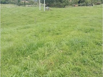 VENDO HERMOSO LOTE 3 FANEGADAS Y MEDIA PLANAS COGUA RODAMONTAL