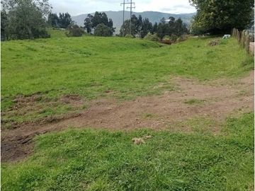 VENDO HERMOSO LOTE 3 FANEGADAS Y MEDIA PLANAS COGUA RODAMONTAL