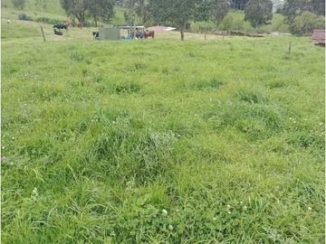 VENDO HERMOSO LOTE 3 FANEGADAS Y MEDIA PLANAS COGUA RODAMONTAL
