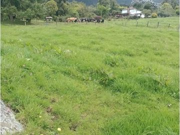 VENDO HERMOSO LOTE 3 FANEGADAS Y MEDIA PLANAS COGUA RODAMONTAL