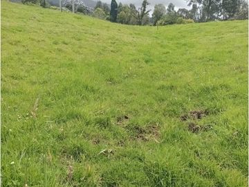 VENDO HERMOSO LOTE 3 FANEGADAS Y MEDIA PLANAS COGUA RODAMONTAL