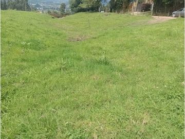 VENDO HERMOSO LOTE 3 FANEGADAS Y MEDIA PLANAS COGUA RODAMONTAL