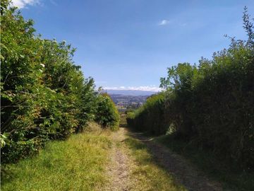VENDE LOTE CON BODEGUITA Y CULTIVO DURAZNOS SOTAQUIR BOYACA