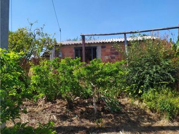 VENDE LOTE CON BODEGUITA Y CULTIVO DURAZNOS SOTAQUIR BOYACA