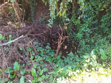 VENDE LOTE CON BODEGUITA Y CULTIVO DURAZNOS SOTAQUIR BOYACA