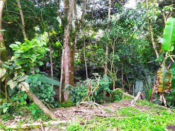 VENDO CASA CON LOTE. REA 672 m2  PACHO CUNDINAMARCA