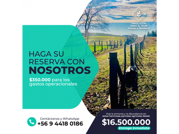 Venta Parcelas Cerro el Padre (5.000mt2), Quilaco.
