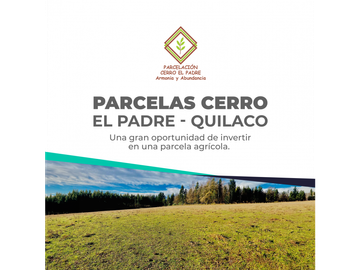 Venta Parcelas Cerro el Padre (5.000mt2), Quilaco.