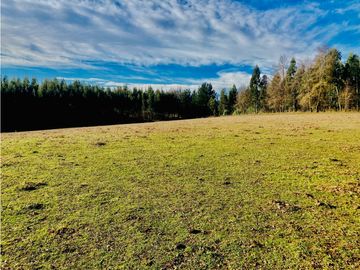 Venta Parcelas Cerro el Padre (5.000mt2), Quilaco.