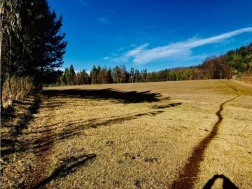 Venta Parcelas Cerro el Padre (5.000mt2), Quilaco.