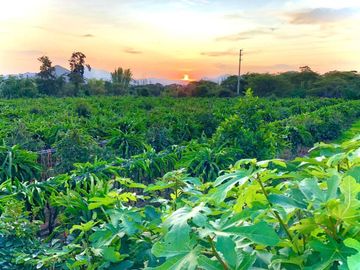 VENDO TERRENO RURAL PARA CASA DE CAMPO EN HUARAL - A PRECIO DE OCASION