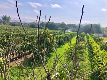 VENDO TERRENO RURAL PARA CASA DE CAMPO EN HUARAL - A PRECIO DE OCASION