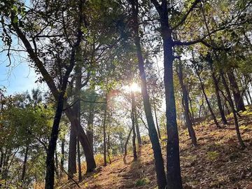 TERRENO CON CABAÑA EN VENTA,  RESIDENCIAL CAMPESTRE EL TIGRE MAZAMITLA