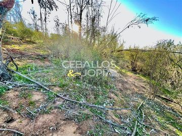 Parcela en Venta en Limache