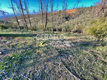 Parcela en Venta en Limache