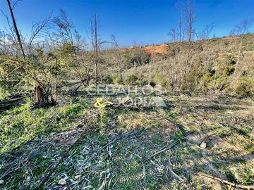 Parcela en Venta en Limache
