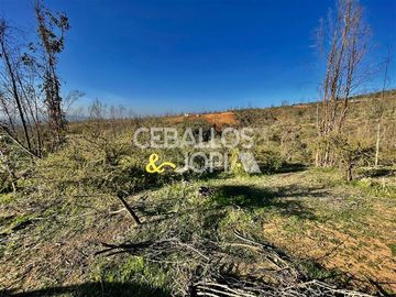 Parcela en Venta en Limache