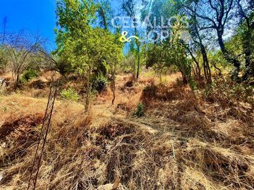 Sitio en Venta en Paradero 42 de Granizo, Olmué