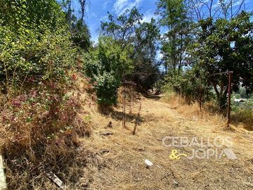 Sitio en Venta en Paradero 42 de Granizo, Olmué