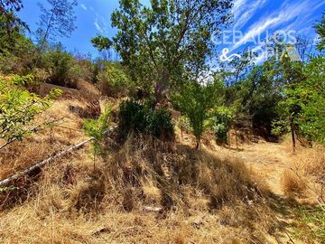 Sitio en Venta en Paradero 42 de Granizo, Olmué