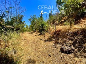 Sitio en Venta en Paradero 42 de Granizo, Olmué