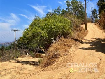 Sitio en Venta en Paradero 42 de Granizo, Olmué