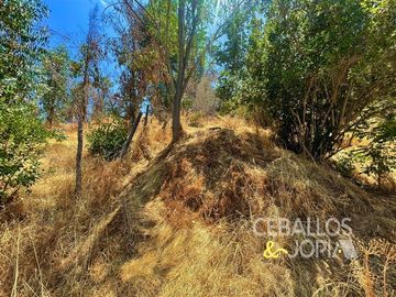 Sitio en Venta en Paradero 42 de Granizo, Olmué