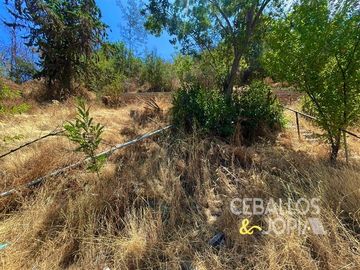 Sitio en Venta en Paradero 42 de Granizo, Olmué