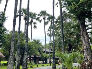 Family House in Chiang Mai, close to city center