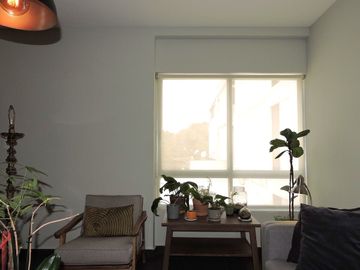 Penthouse con roof garden en venta en colonia Nápoles