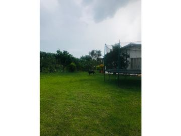 SE VENDE FINCA EN KM 2 VA ARMENIA- MONTENEGRO, QUINDIO