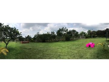 SE VENDE FINCA EN KM 2 VA ARMENIA- MONTENEGRO, QUINDIO