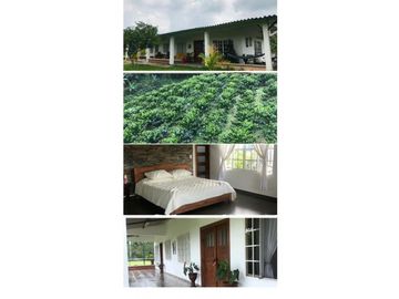 SE VENDE FINCA EN KM 2 VA ARMENIA- MONTENEGRO, QUINDIO