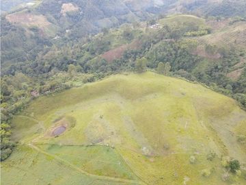 SE VENDE FINCA EN PASTO SECTOR SAN JUAN DE CAROLINA SALENTO