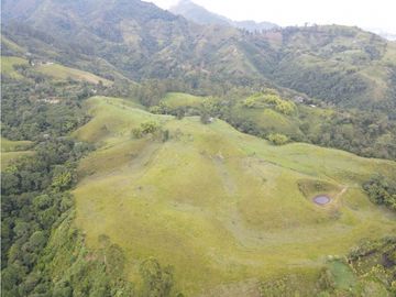 SE VENDE FINCA EN PASTO SECTOR SAN JUAN DE CAROLINA SALENTO