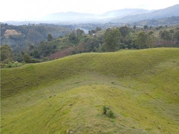 SE VENDE FINCA EN PASTO SECTOR SAN JUAN DE CAROLINA SALENTO