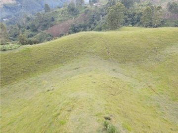 SE VENDE FINCA EN PASTO SECTOR SAN JUAN DE CAROLINA SALENTO