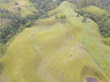 SE VENDE FINCA EN PASTO SECTOR SAN JUAN DE CAROLINA SALENTO