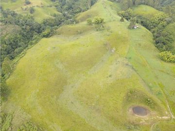 SE VENDE FINCA EN PASTO SECTOR SAN JUAN DE CAROLINA SALENTO