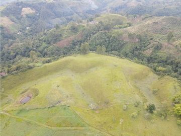 SE VENDE FINCA EN PASTO SECTOR SAN JUAN DE CAROLINA SALENTO