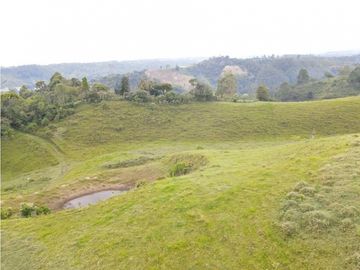 SE VENDE FINCA EN PASTO SECTOR SAN JUAN DE CAROLINA SALENTO