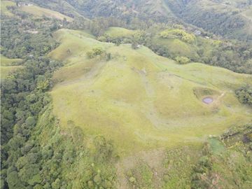 SE VENDE FINCA EN PASTO SECTOR SAN JUAN DE CAROLINA SALENTO
