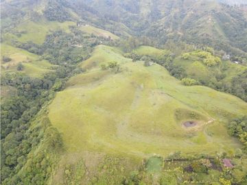 SE VENDE FINCA EN PASTO SECTOR SAN JUAN DE CAROLINA SALENTO