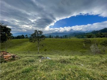 SE VENDE FINCA EN PASTO SECTOR SAN JUAN DE CAROLINA SALENTO